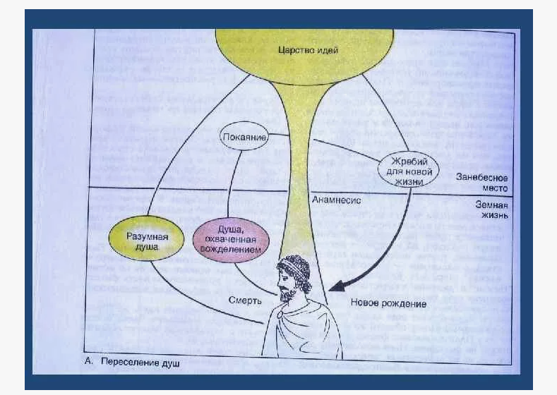 реинкарнация источник igrosam.ru