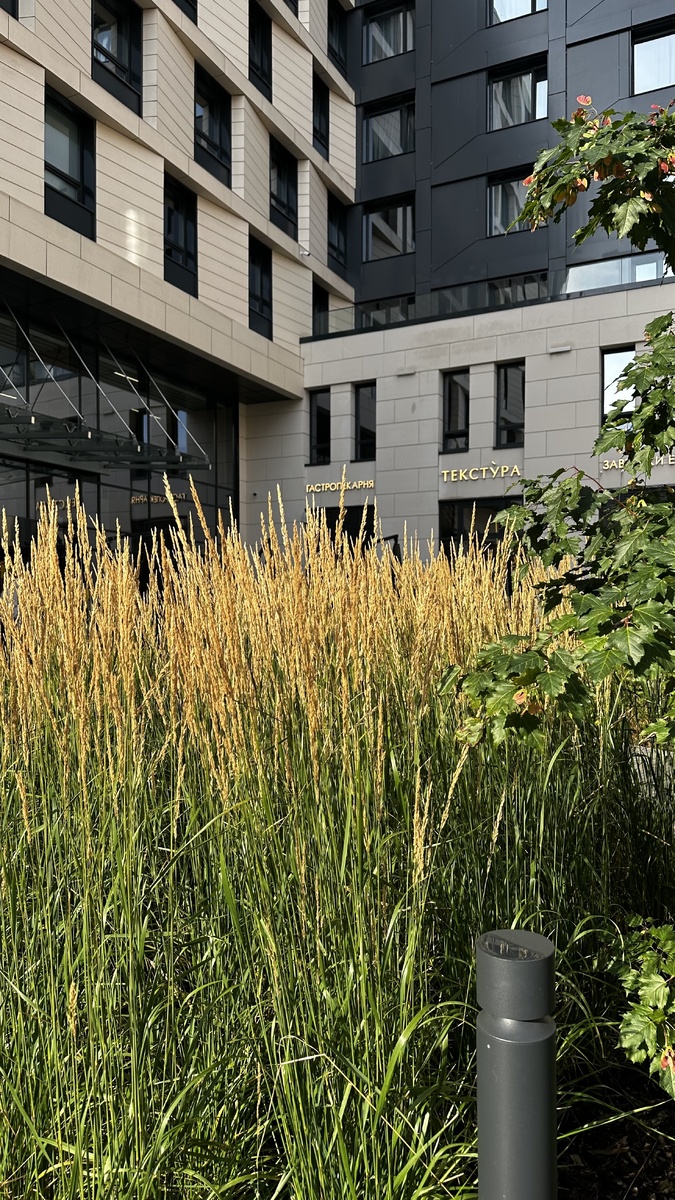 Но если на улице солнышко, то старайтесь хотя бы в выходные выбираться на прогулку. Часто лишние объемы на боках, бедрах и талии — это отек, который нарастает из-за малоподвижного образа жизни. Чем больше вы двигаетесь, тем лучше циркулирует в организме лимфа, тем стройнее ваше тело даже не из-за того, что вы худеете, а из-за того, что выводится лишняя жидкость. В будни очень советую делать зарядки хотя бы по 15 минут в день. Тоже здорово помогают в борьбе с отечностью. 