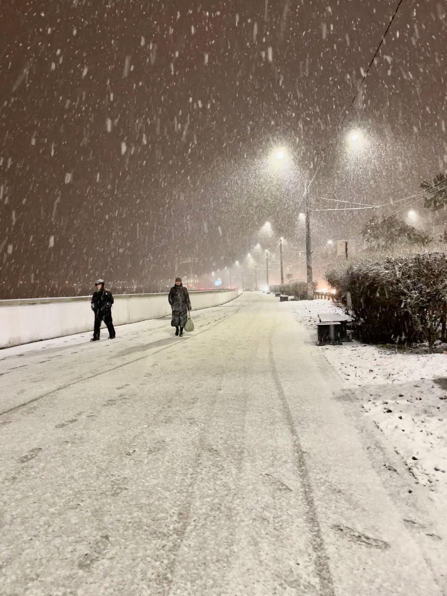 Январь иногда выглядит в Краснодаре так