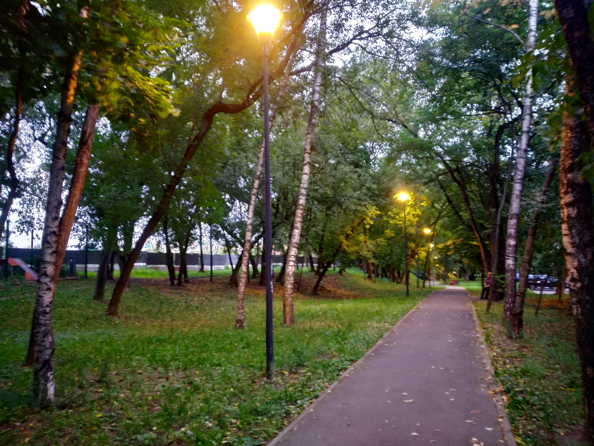 Батюнинский парк в Москве, слева виден забор вокруг строительной площадки, фото автора