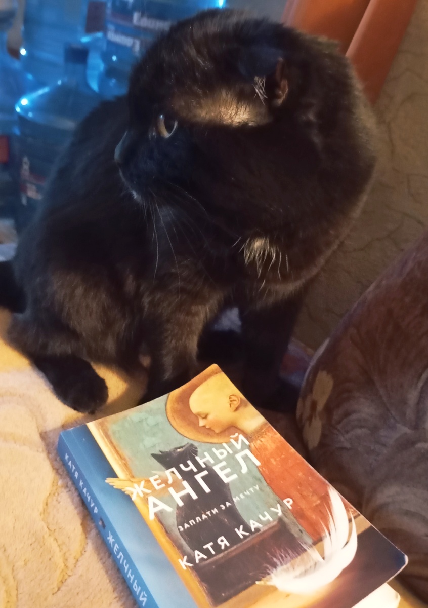 Фотография автора. Кошачий профиль на обложке, кошачий профиль в реале.