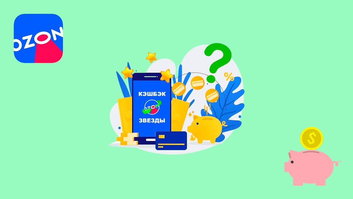 Кэшбэк или звезды на Озон — что лучше?