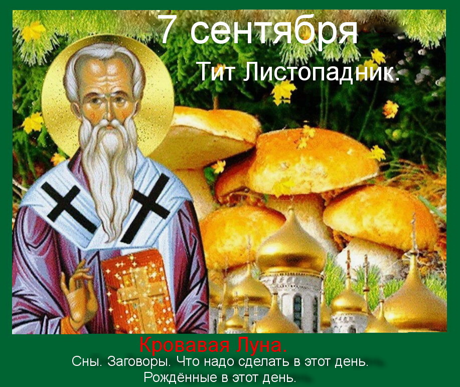 Источник: Яндекс картинки.