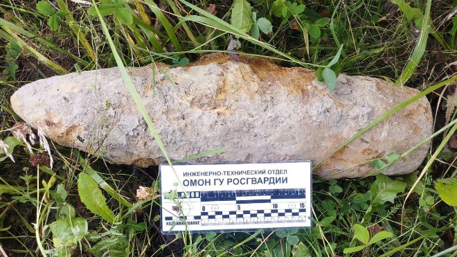 Фото: ГУ Росгвардии по Петербургу и Ленобласти