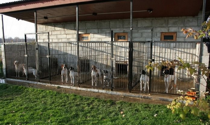 Фото с интернета