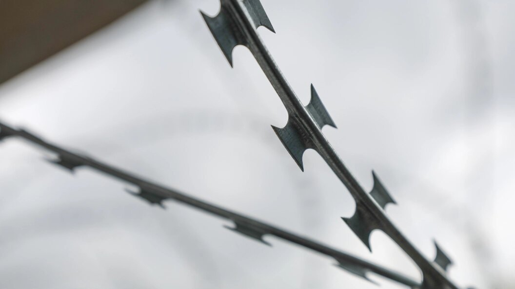    Фото: Belkin Alexey/Globallookpress