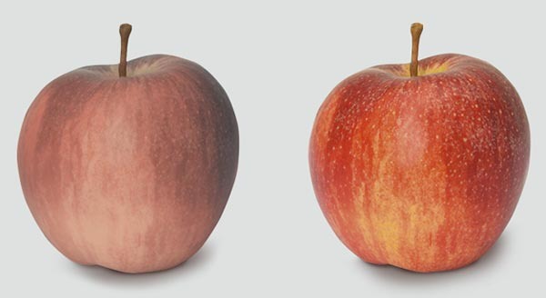 Обзор без бликов и отражений. Светодиод в качестве HEINE – или LED HQ.