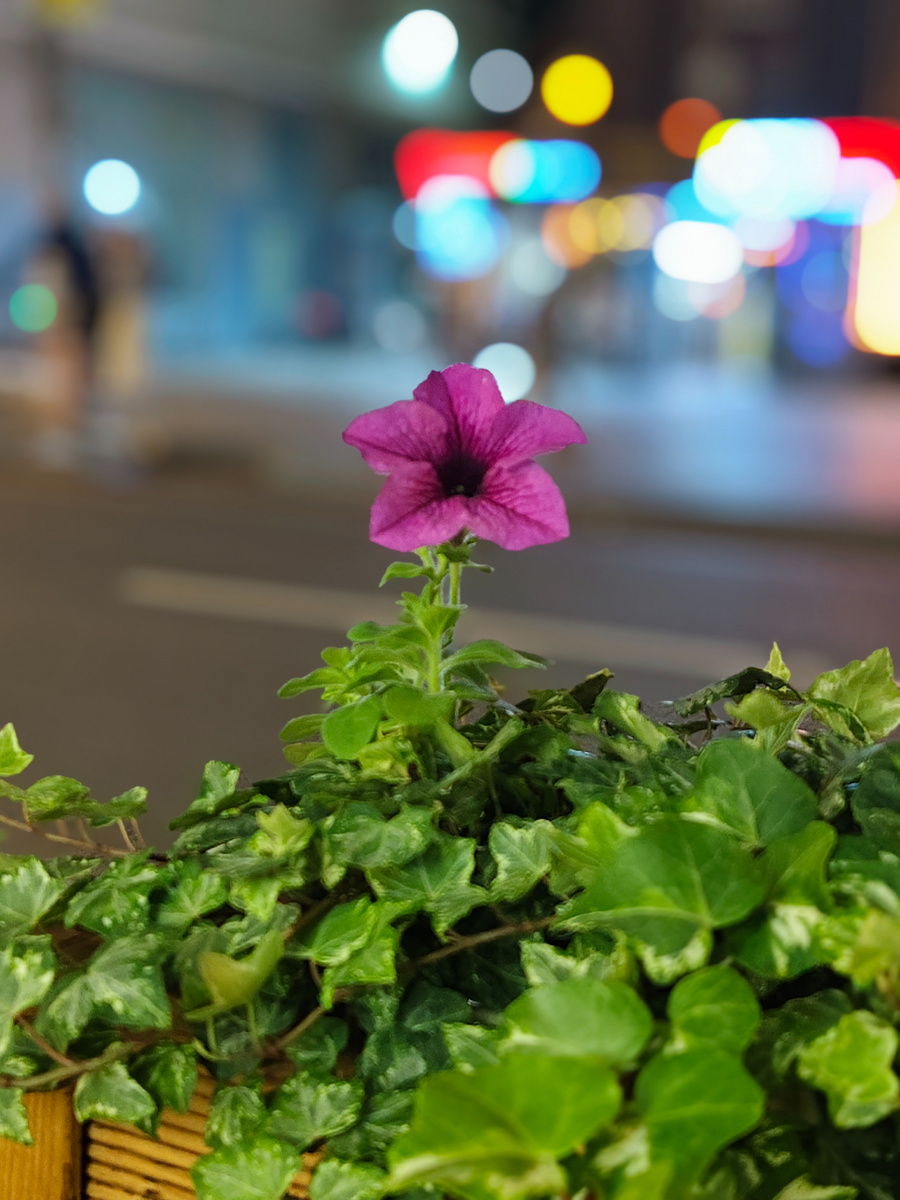 Веранда ресторана "Хинкали и Вино" на Мясницкой ул, 5. Хинкали&Vino