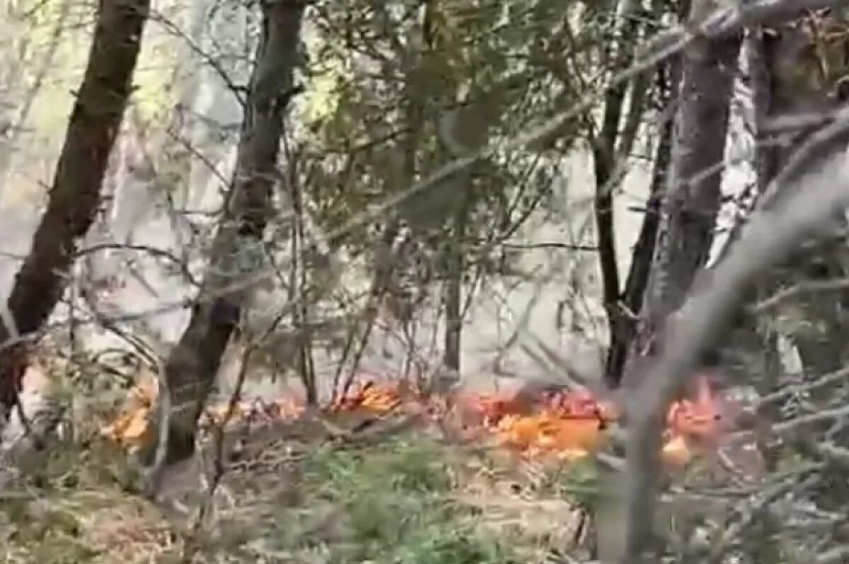    В Дагестане для борьбы с пожарами в горах закупят грузовые дроны