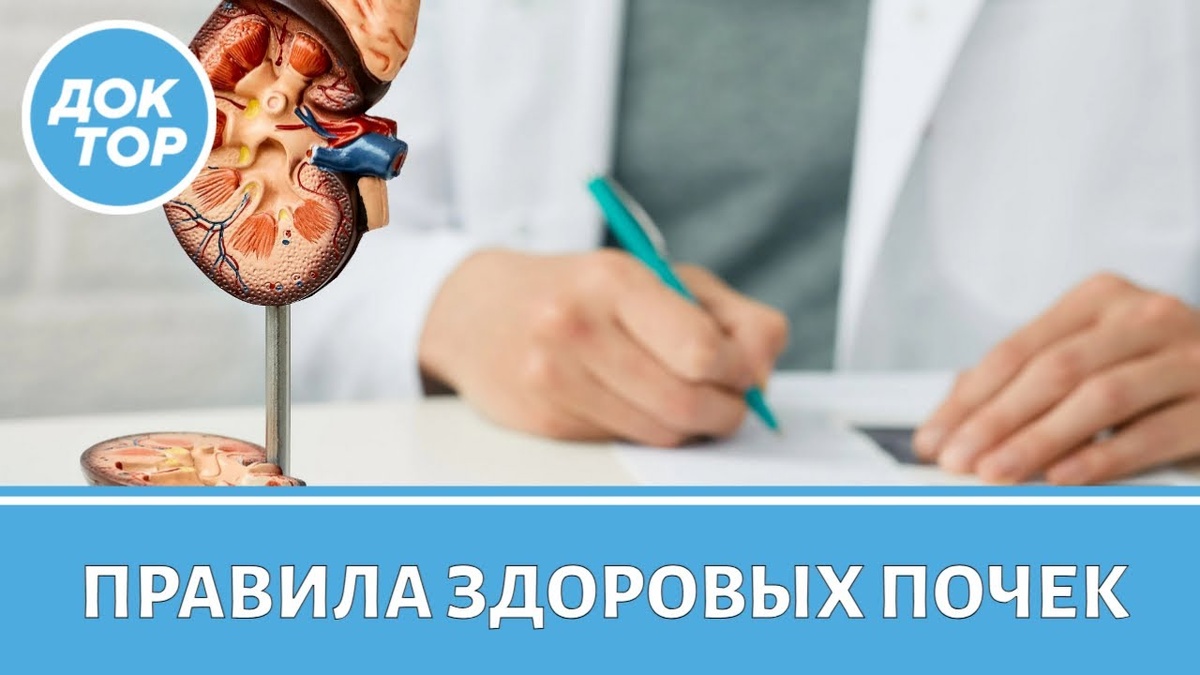 Диабет и почки: как болезнь разрушает организм