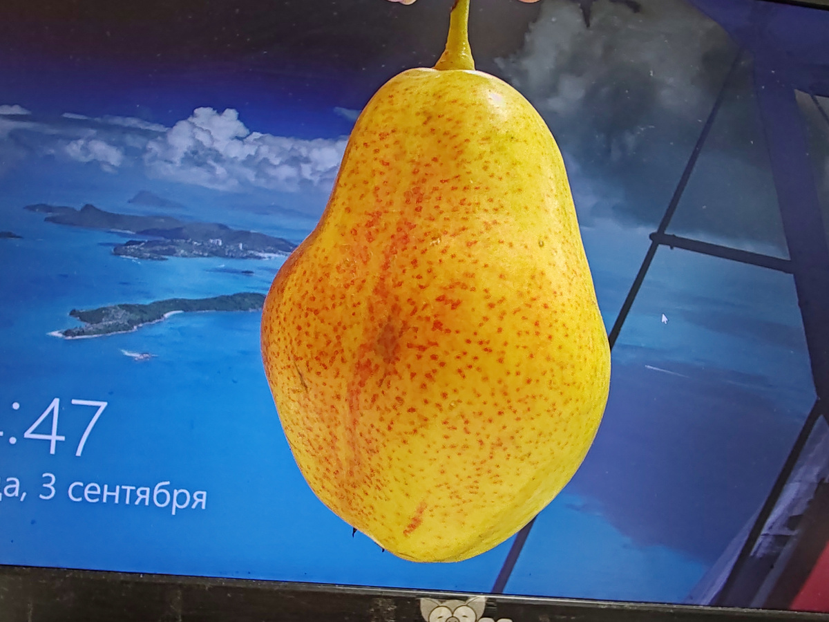 Фото автора канала.