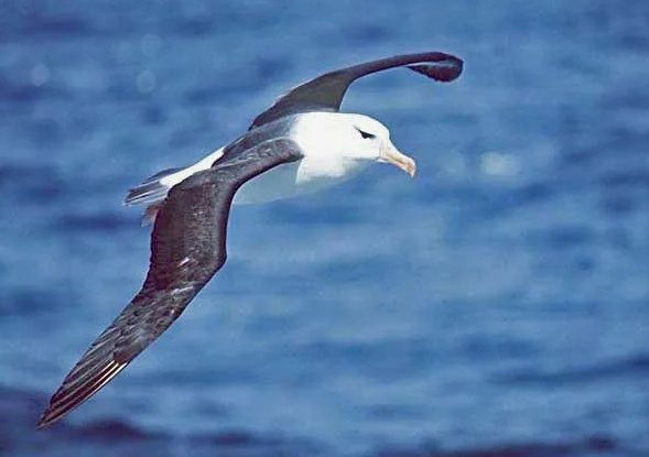 Поставь лайк!