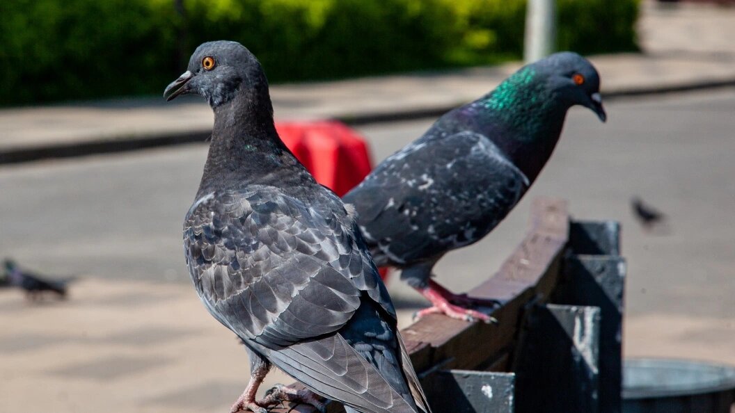    Oksana Korol/Globallookpress