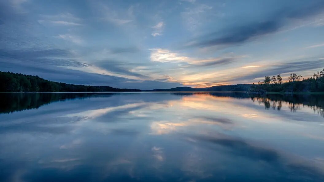    Фото: Gregory A. Pozhvanov/shutterstock.com