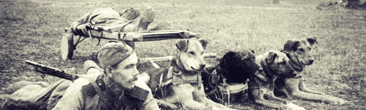 Источник: sutori.com