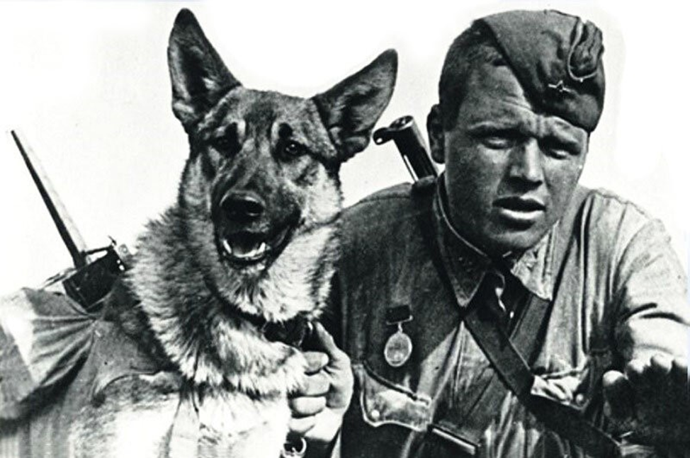 Источник: vetlipetsk.ru