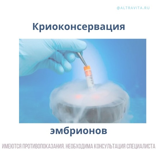 Криоконсервация эмбрионов