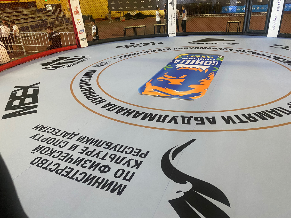 Внутри октагона .