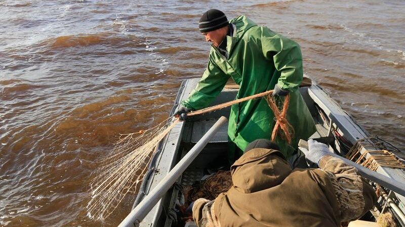    Фото: Андрей Ткачев / «Ямал-Медиа»