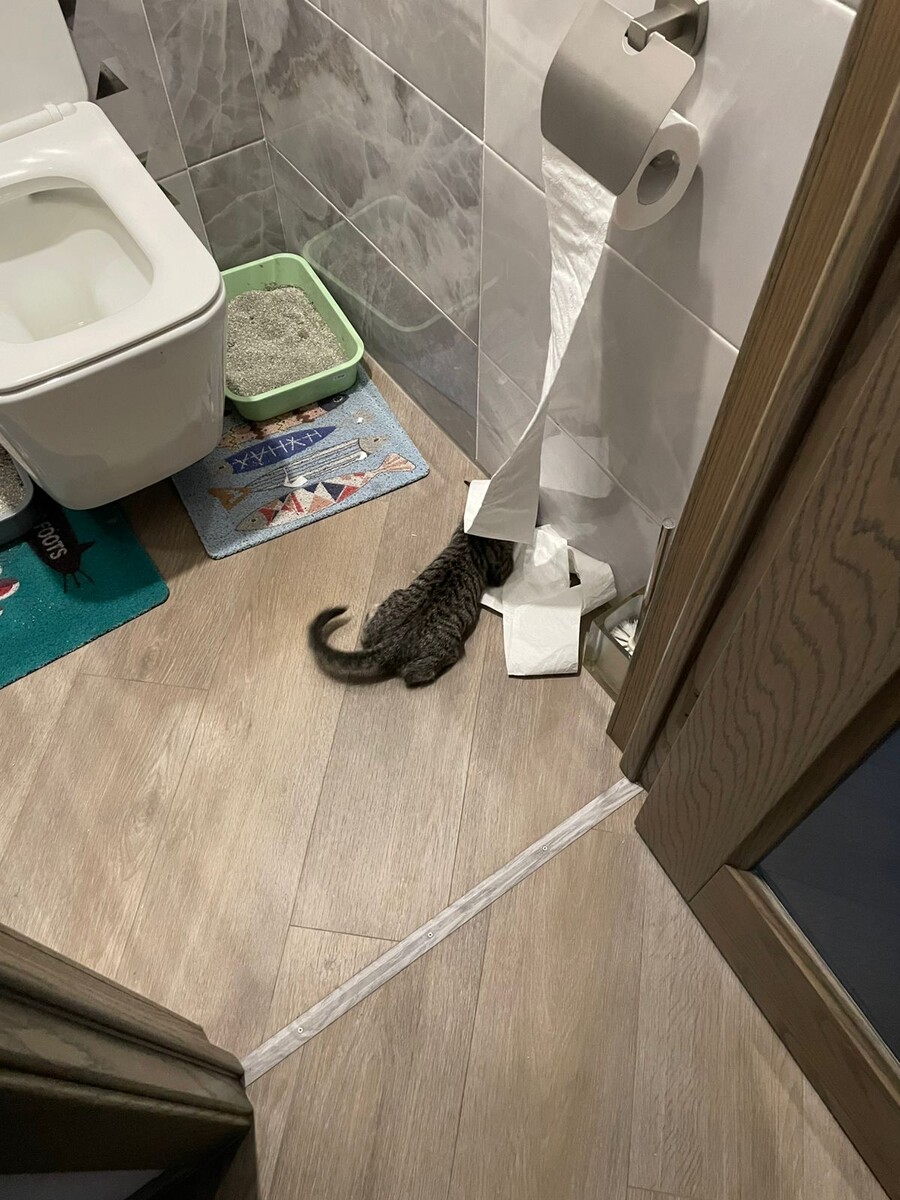 Ну очевидно. деловой парень!