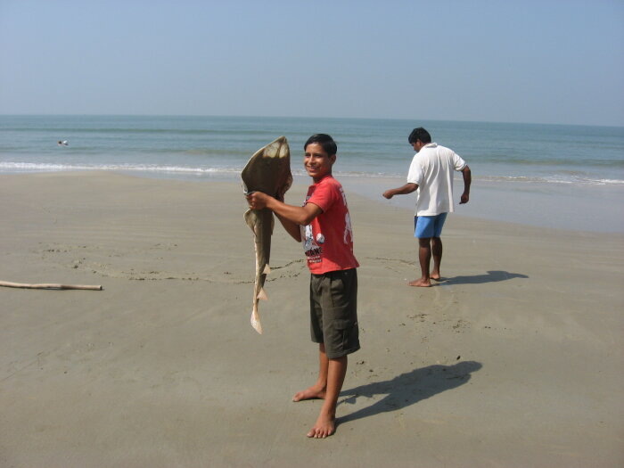 Индийский мальчик хочет отпустить рыбу обратно в океан, поскольку на ней нет обязательной маркировки / Фото: Vostok.Today