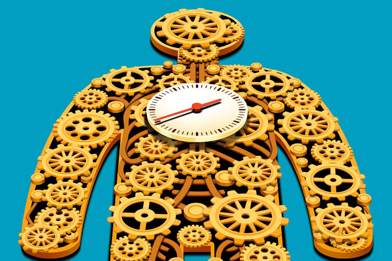 Изображение: Нэш Вирасекера (Nash Weerasekera).