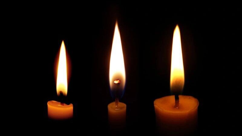    Фото: prapann / Shutterstock / Fotodom