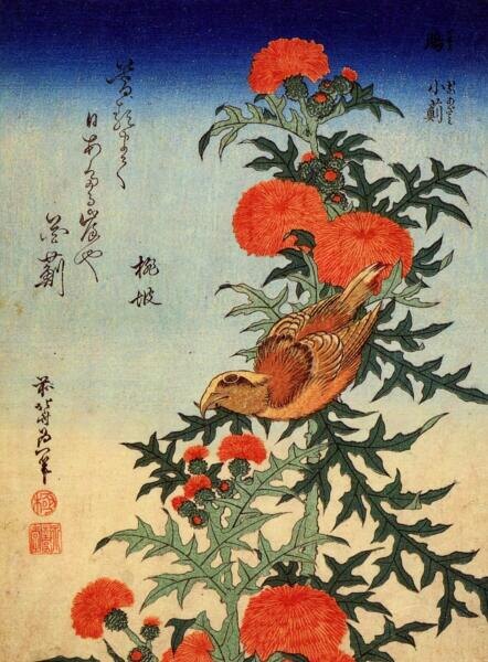    Кацусика Хокусай, «Клест и чертополох», 1834 г., общественное достояние