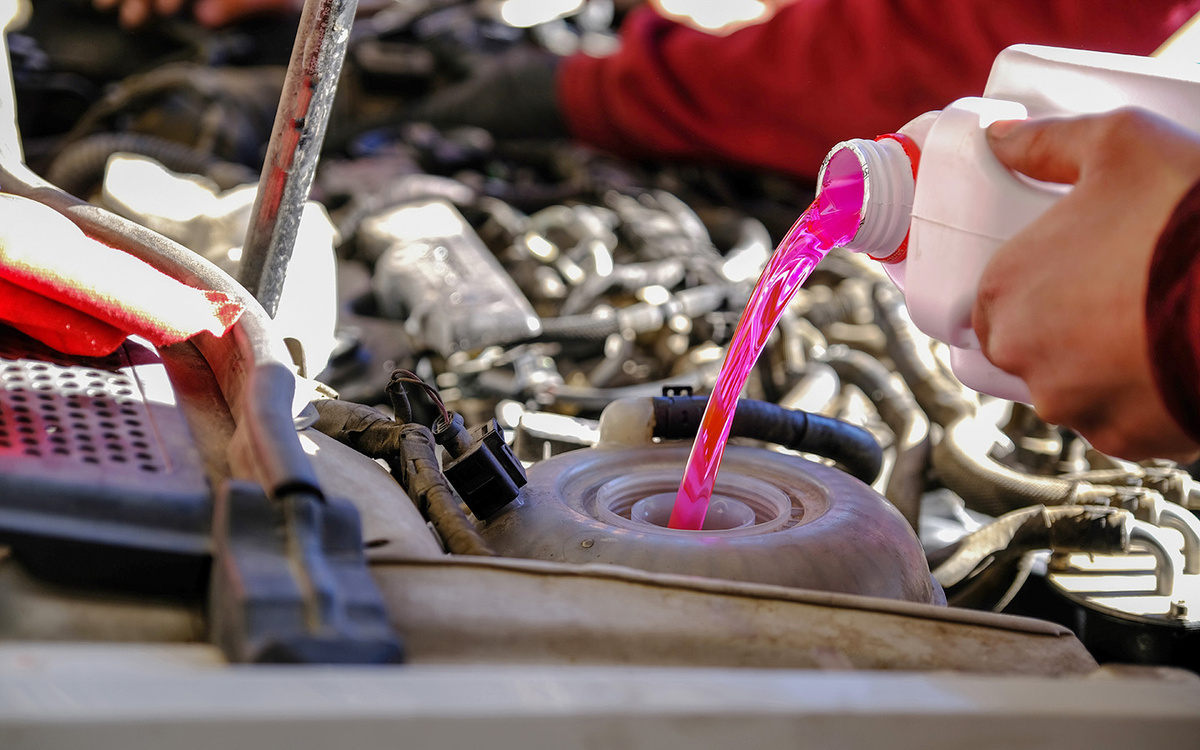    AhmetCelik / Shutterstock / FOTODOM