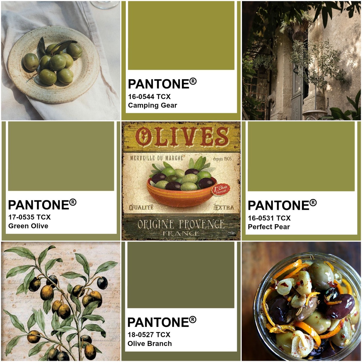 1. Оливы. Иллюстрации из открытых источников в сети, коллажи авторские.