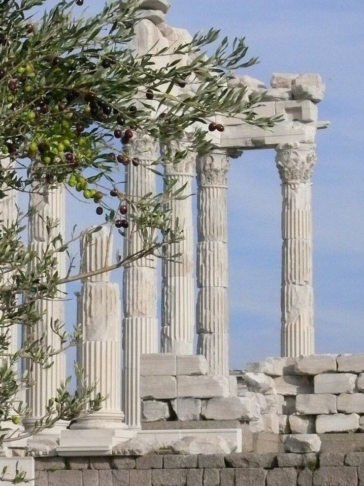 2. Греция. Развалины и олива.