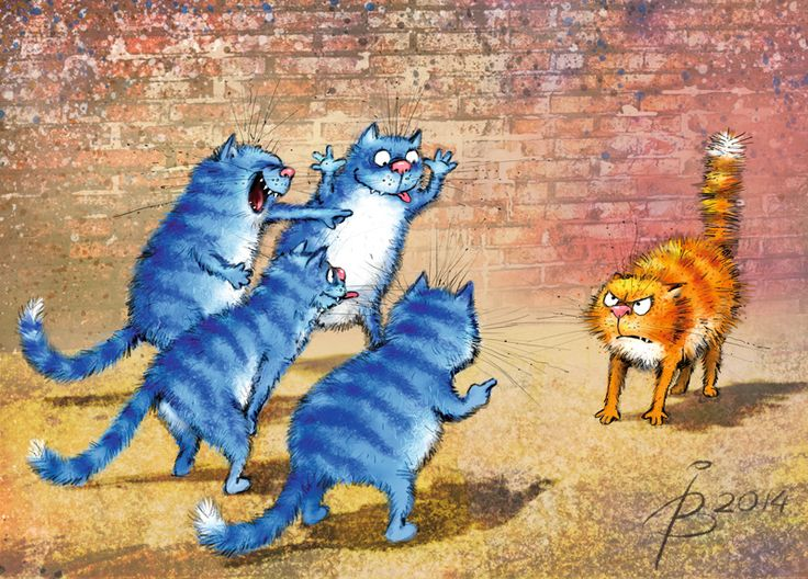 очаровательные коты Рины Зенюк