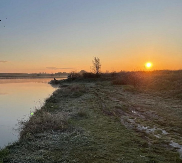    природа Алексеева Наталья