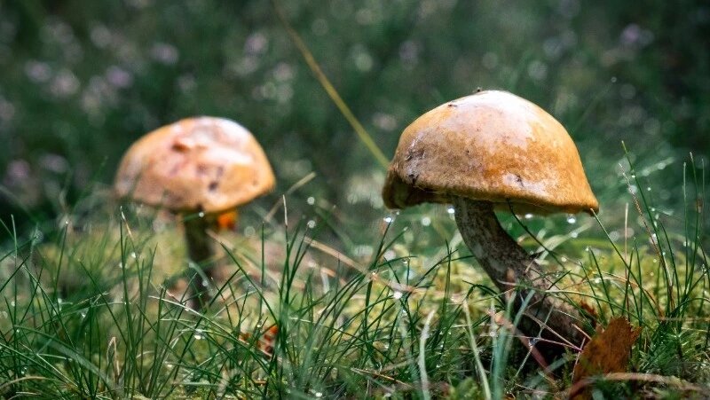      Фото: @wirestock / ru.freepik.com