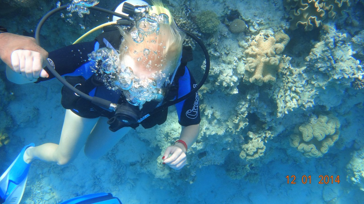 Коралловые рифы в Красном море // Фото из личного архива