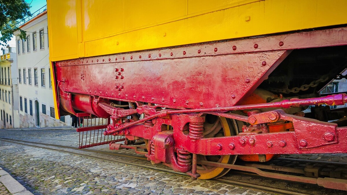    Фото: Audrius Venclova/Shutterstock/Fotodom