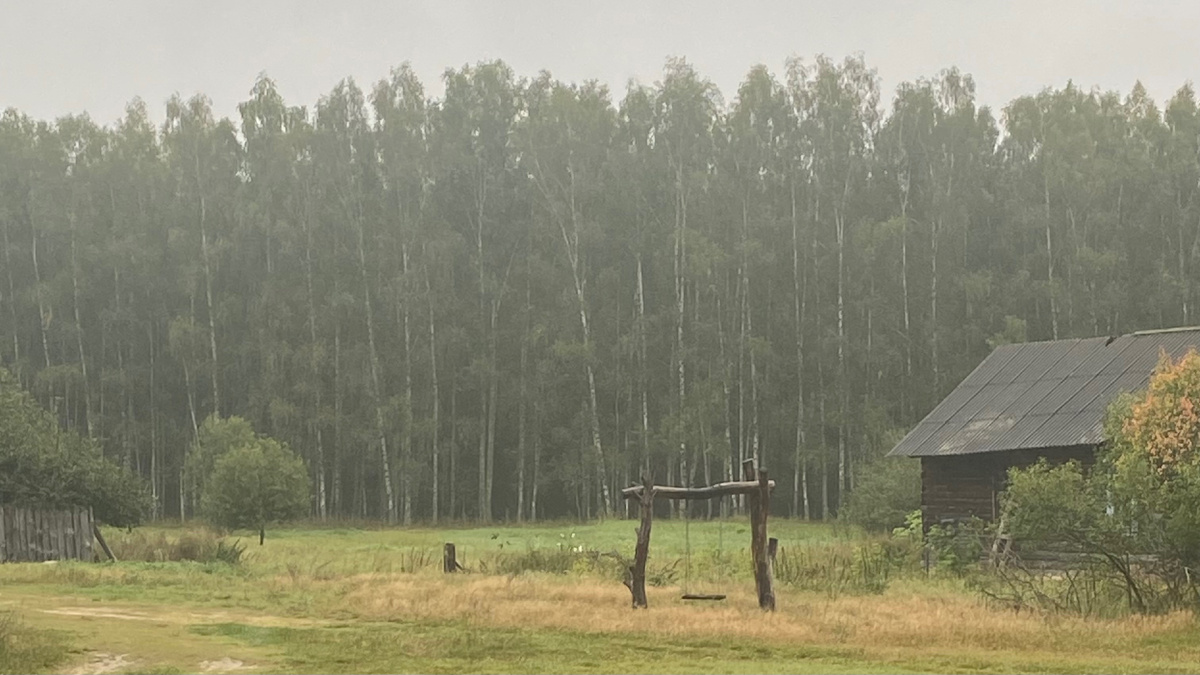 Мордовский заповедник 