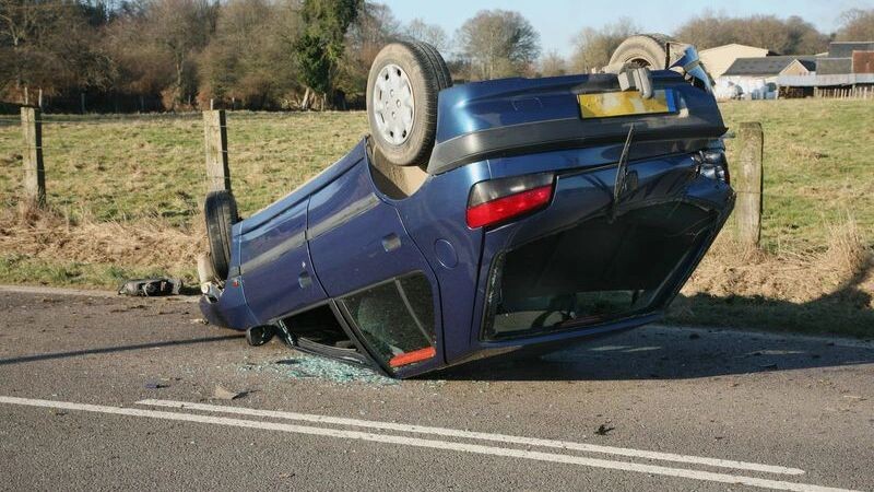    Фото: Soundsnaps / Shutterstock / Fotodom