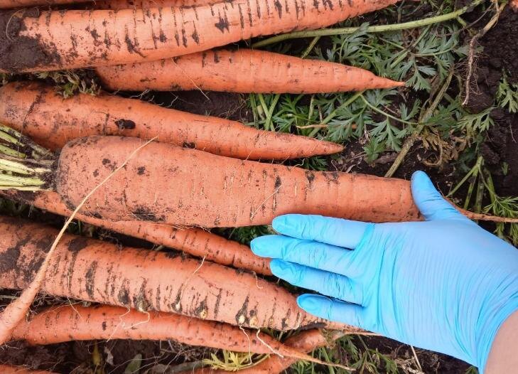    Фото из личного архива