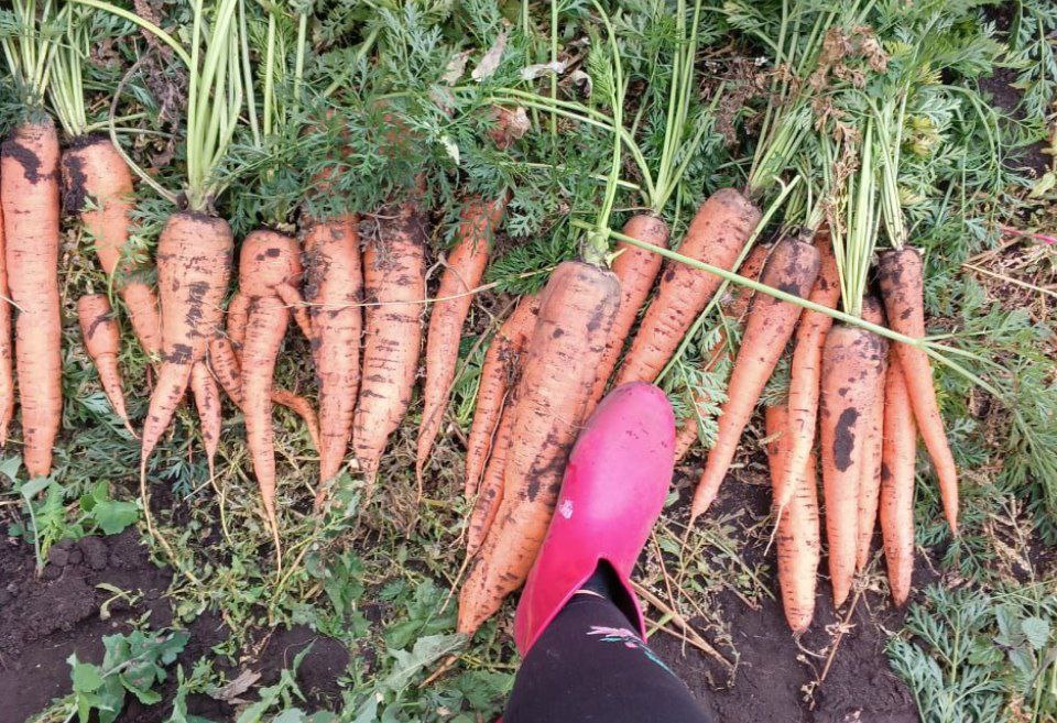 © Фото из личного архива.📷
