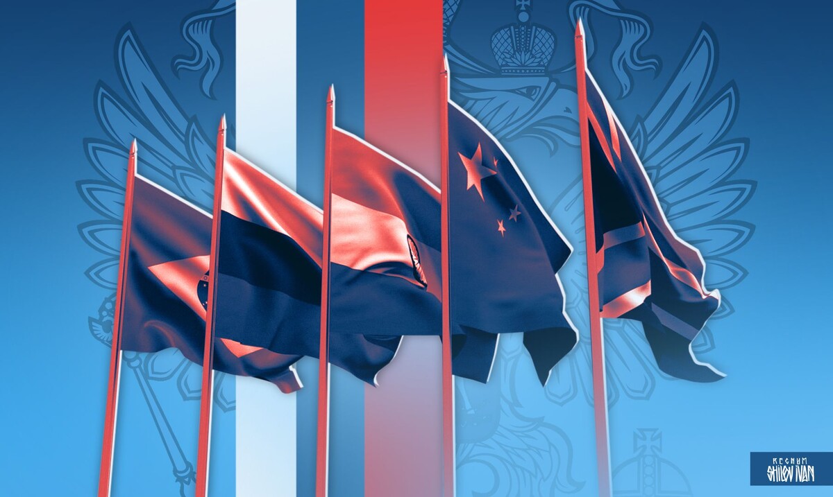    Страны BRICS, Россия / Источник: Иван Шилов (с) ИА Регнум