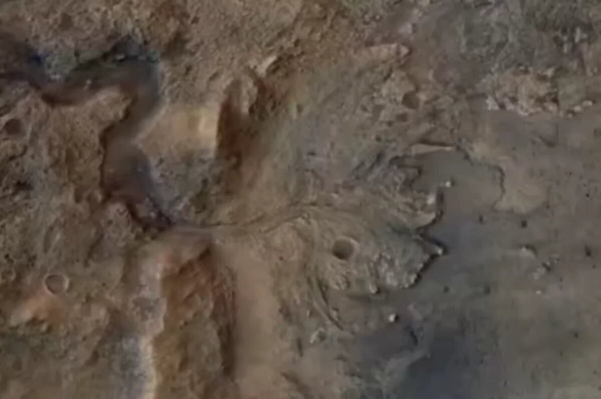    НАСА: США планируют отправить людей на Марс в начале 2030-х годов