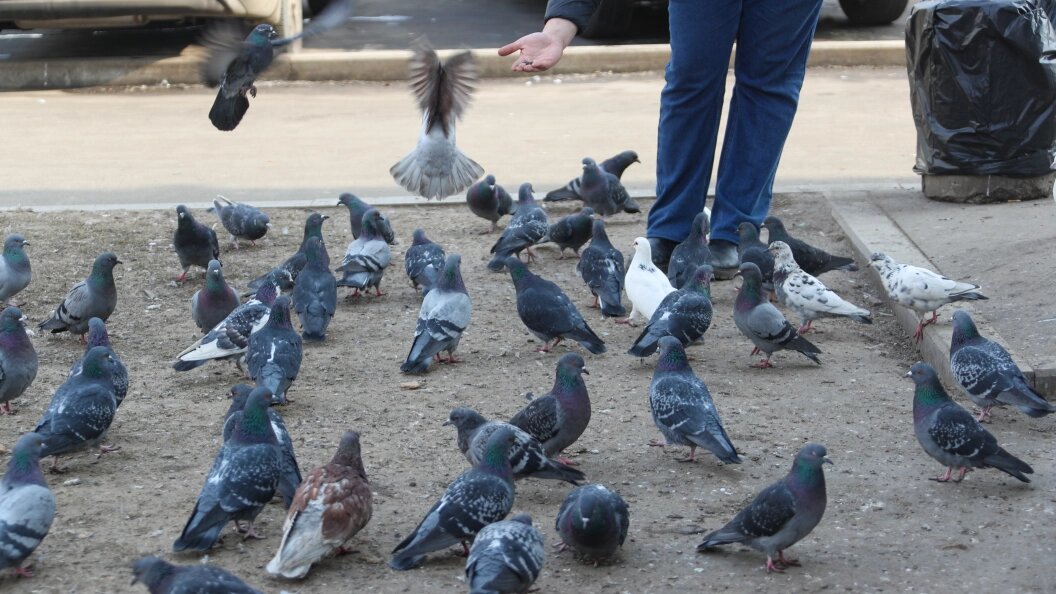    Фото: Pogiba Alexandra/Globallookpress