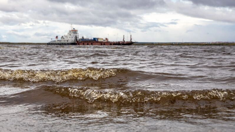    Фото: Федор Воронов / «Ямал-Медиа»