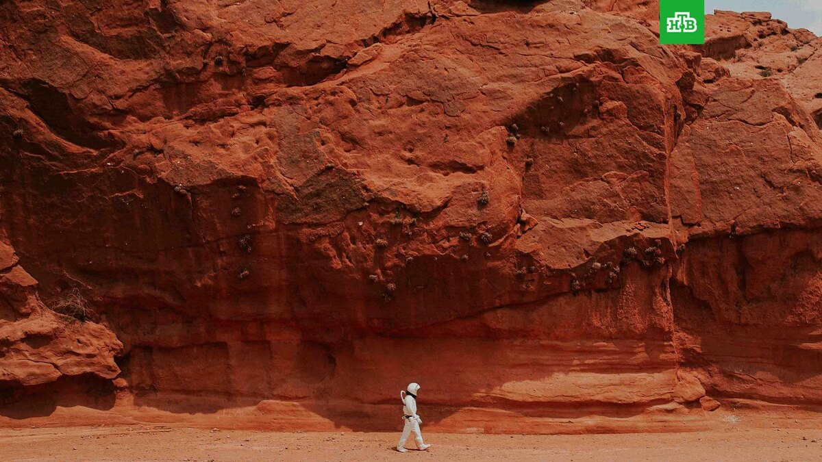    Фото: Nicolas Lobos / unsplash.com