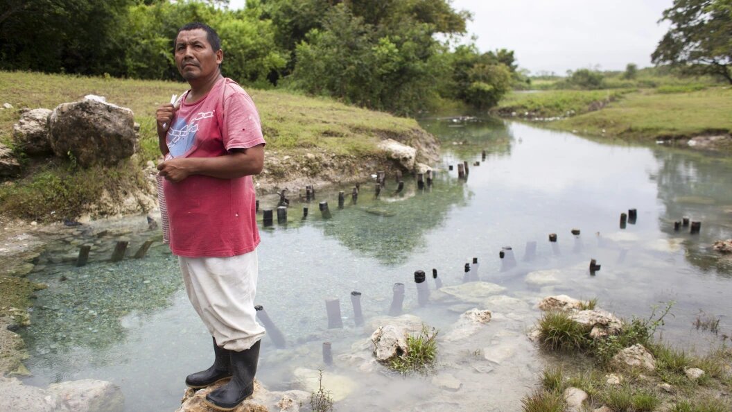    Фото: Luis Echeverria/Globallookpress