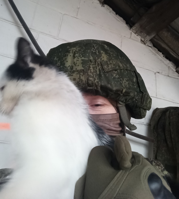 котик и боец Баунти