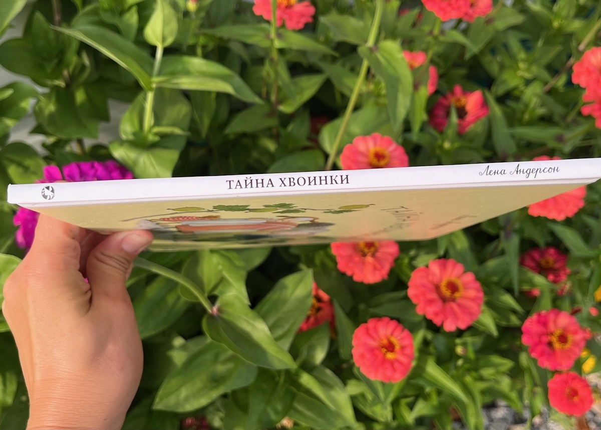 Небольшая историна на 24 страницах. Фото автора.