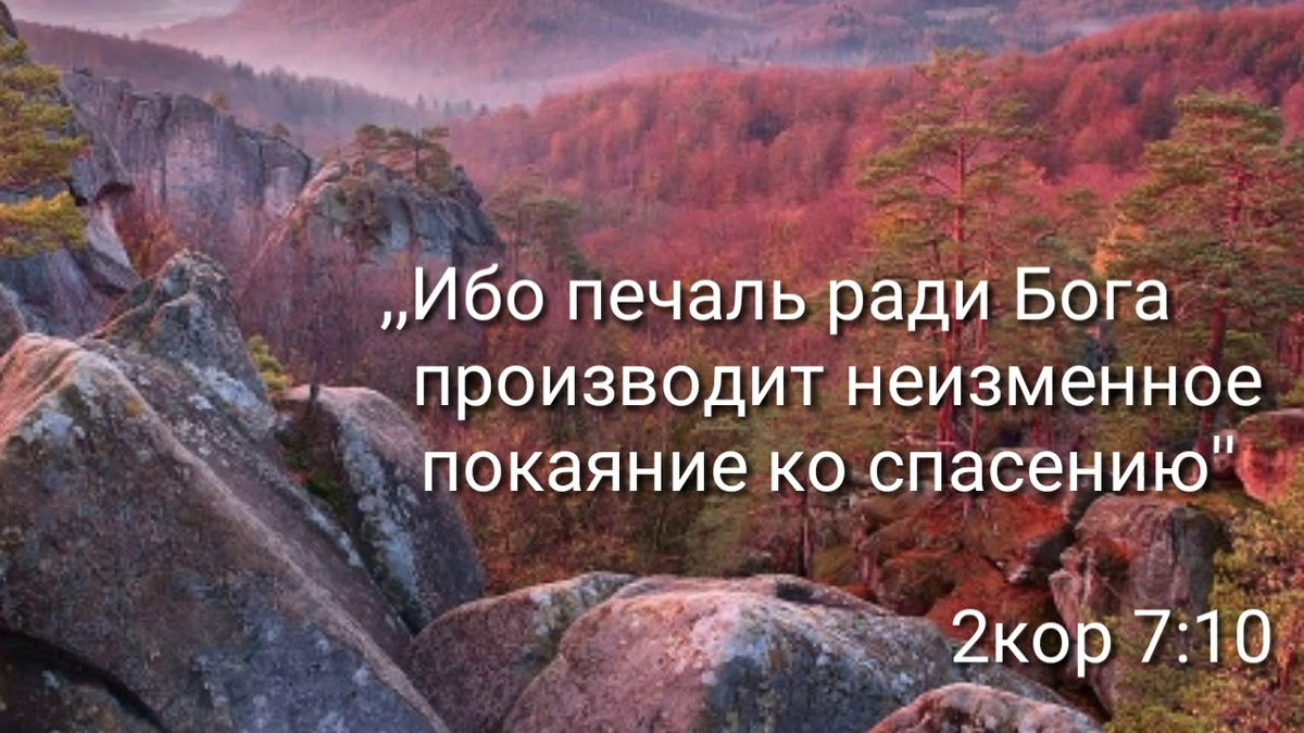 Из открытых источников Яндекса.