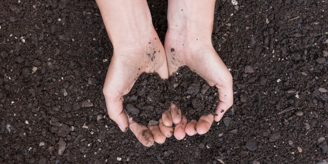 Подготовка защищённого грунта после окончания сезона: восстановление, а не отдых